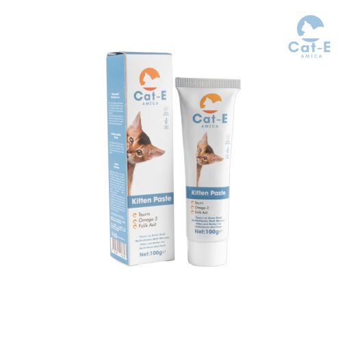 Kitten Paste